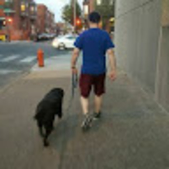 Meet your Posher, Paul - Picture 1 of 1